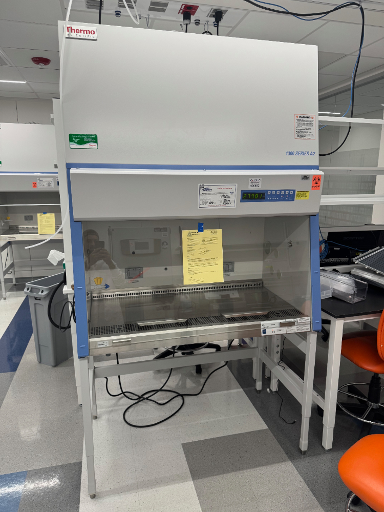 Image of Thermo 1300 Series A2 4' Biosafety Cabinet